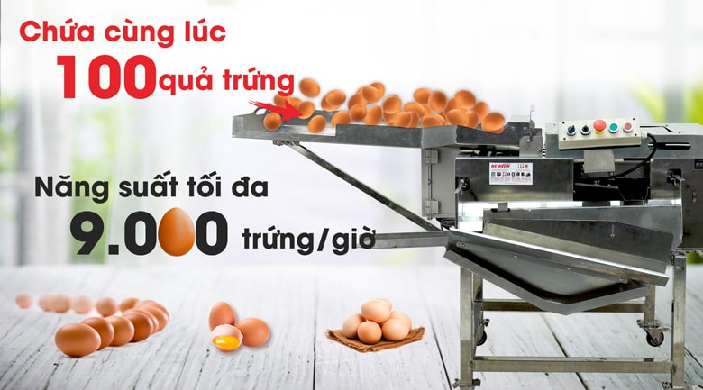 3 băng tải cho năng suất bằng 12 người làm