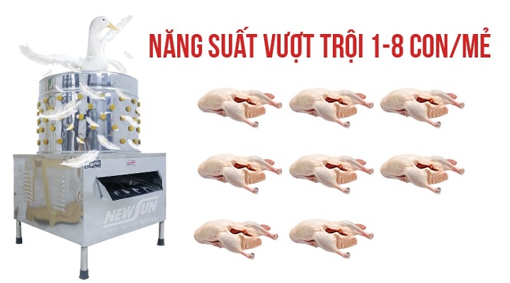 Năng suất máy vặt lông cao