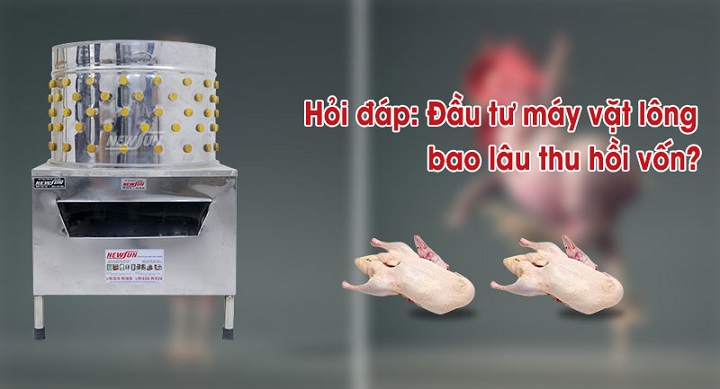 Đầu tư máy vặt lông bao lâu thu hồi vốn