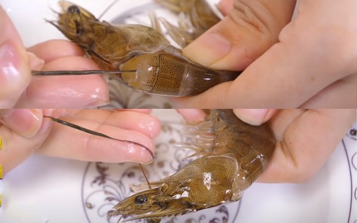 Rút chỉ lưng tôm Rút chỉ lưng tôm