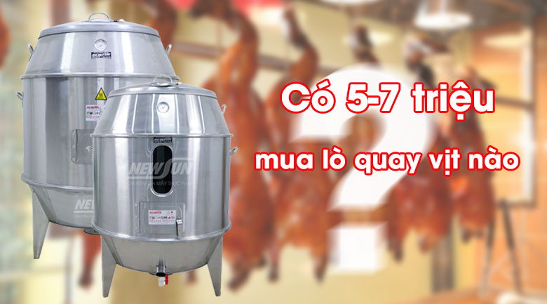 Có 5-7 triệu trong tay muốn mua lu quay vịt, nên chọn mẫu nào?