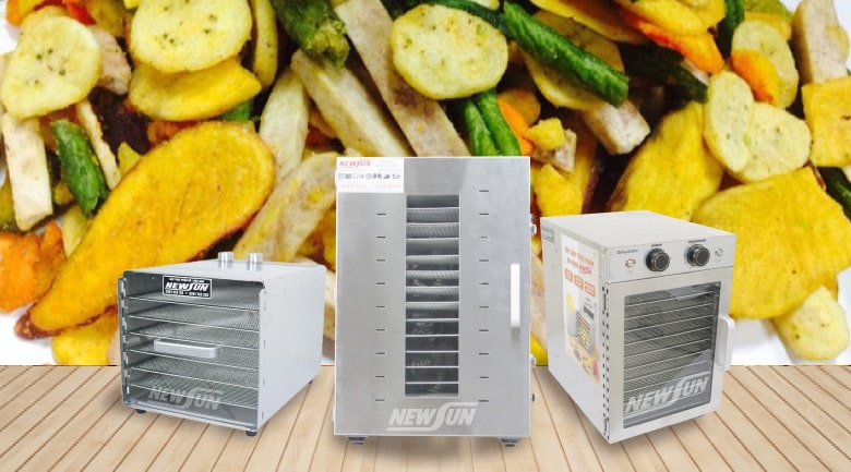 Máy sấy hoa quả mini