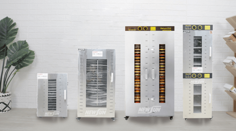 Các loại máy sấy hoa quả công nghiệp NEWSUN