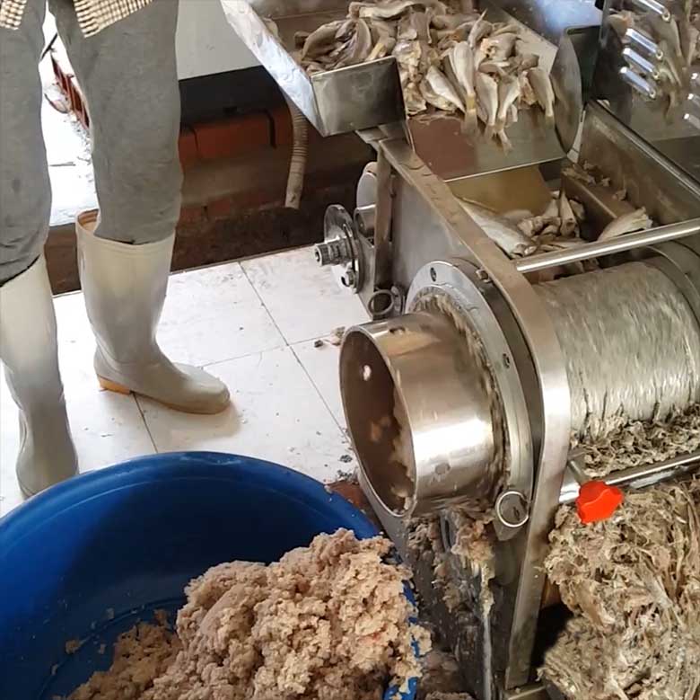Mua máy tách xương cá thanh lý đã qua sử dụng