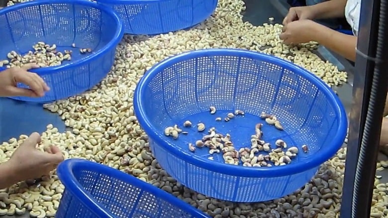 Phân loại nguyên liệu và cài đặt thời gian, nhiệt độ thích hợp