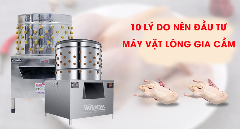 10 lý do nên đầu tư máy vặt lông gia cầm cho cơ sở kinh doanh