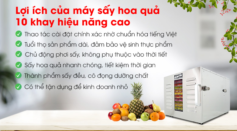 Vì sao nên đầu tư máy sấy trái cây 10 khay hiệu năng cao?