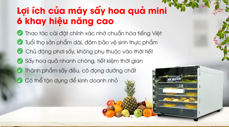 Lợi ích khi sử dụng máy sấy hoa quả mini NEWSUN