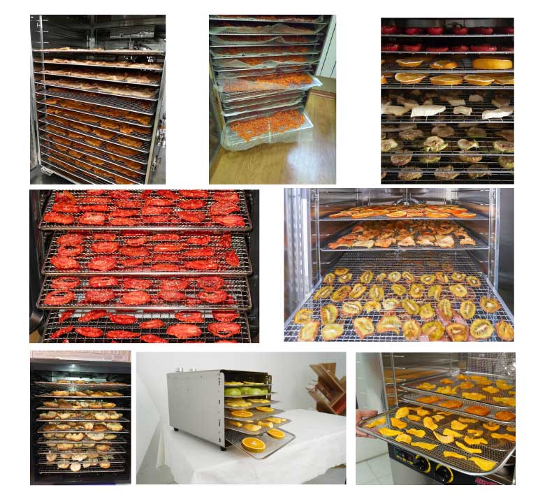 Thành phẩm máy sấy hoa quả chính hãng NEWSUN