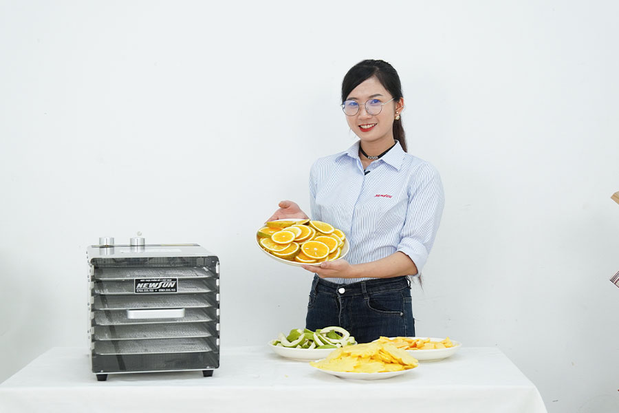 Máy sấy hoa quả 6 khay mini hiệu năng cao NEWSUN
