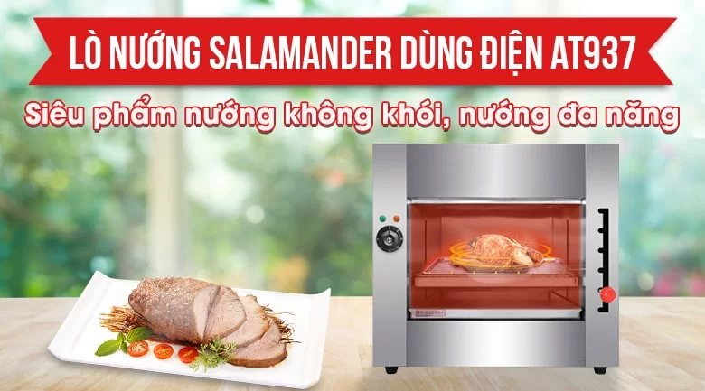 Lò nướng dùng điện