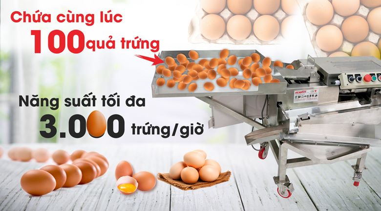 Công suất máy tách lòng đỏ trứng gà NEWSUN cung cấp