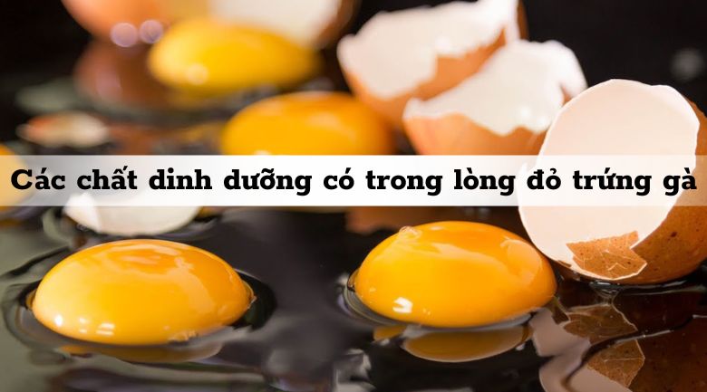 Các chất dinh dưỡng có trong lòng đỏ trứng gà