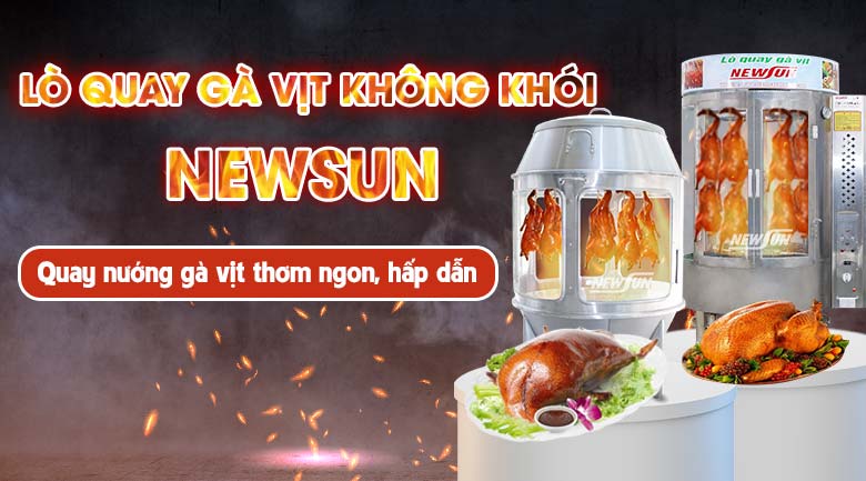 Mua lò quay vịt ở đâu Hà Nội? Bật mí đơn vị uy tín hàng đầu