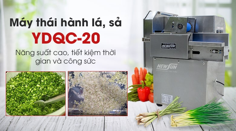 Máy thái hành lá sả YDQC-20 (dạng băng tải)