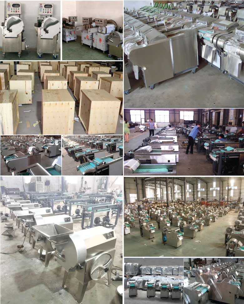 NEWSUN cung cấp đa dạng mẫu mã các loại máy thái rau củ quả công nghiệp chất lượng cao