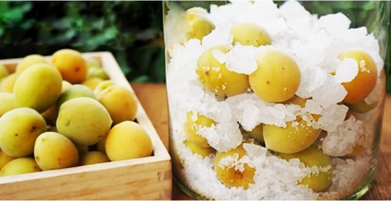 Ngâm mơ với đường phèn Ngâm mơ với đường phèn