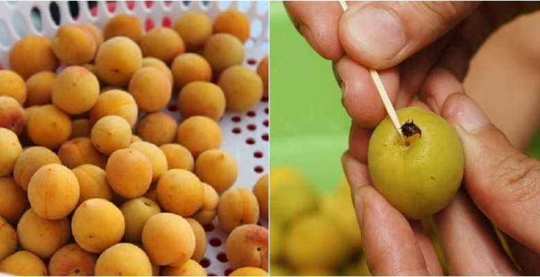 Sơ chế mơ tươi Sơ chế mơ tươi