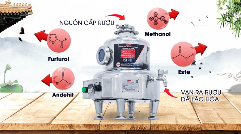 Quá trình giúp loại bỏ độc tố trong rượu