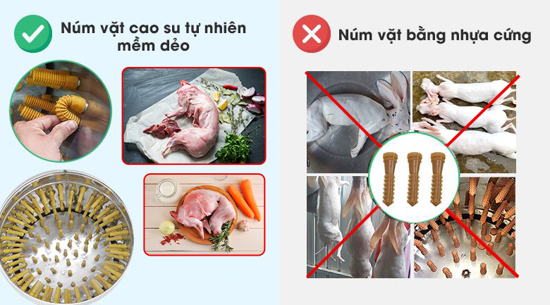 Núm vặt cao su tự nhiên được sắp xếp khoa học, hợp lý Núm vặt cao su tự nhiên được sắp xếp khoa học, hợp lý