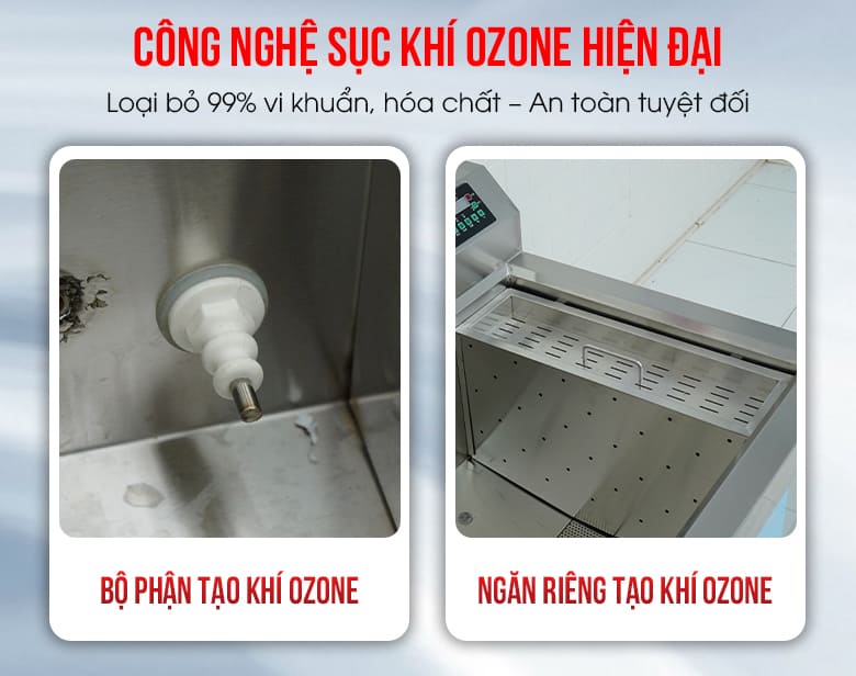 Bộ phận tạo khí ozone