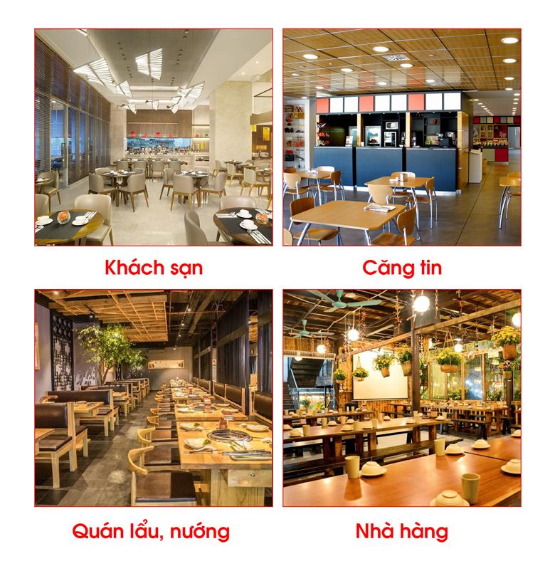 Các đơn vị thường đầu tư máy xào thức ăn TS300-Y Các đơn vị thường đầu tư máy xào thức ăn TS300-Y