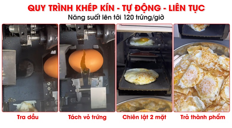 Quy trình khép kín, tự động và liên tục, năng suất tối đa 120 trứng/giờ