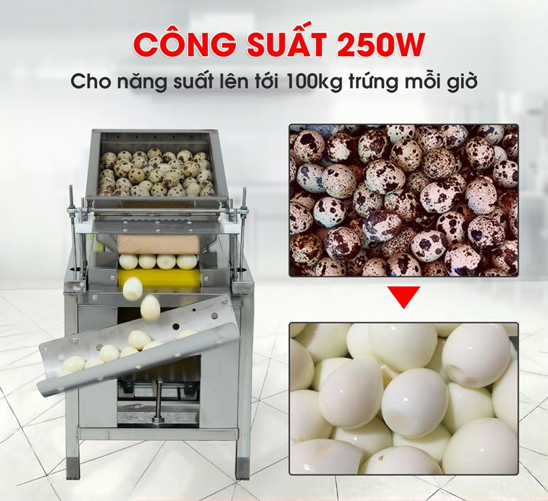 Năng suất cao lên tới 100kg trứng mỗi giờ