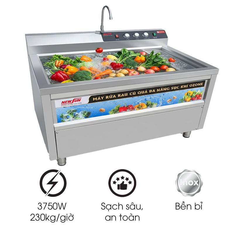 Máy rửa rau củ quả sục khí ozone NS-200 (inox 304)