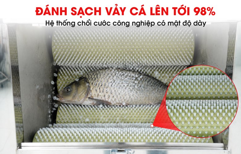 Hệ thống 5 con lăn chổi cước công nghiệp – Đánh sạch vảy đến 95–98%