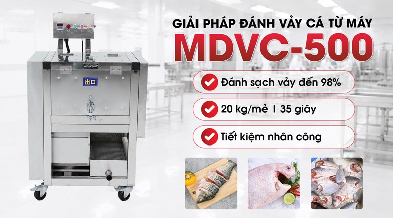 Lợi ích khi dùng máy đánh vảy cá NEWSUN