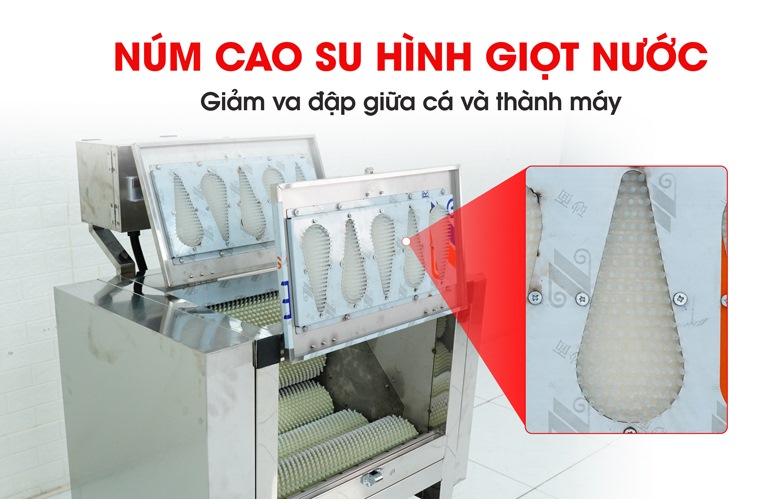 Hệ thống núm cao su hỗ trợ đảo cá liên tục