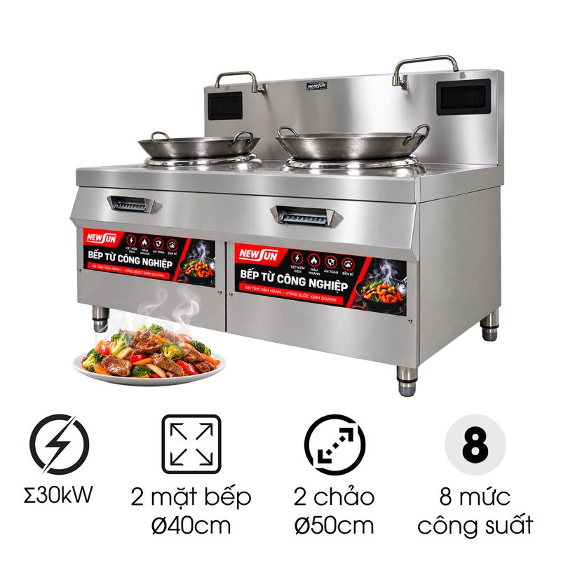 Bếp từ công nghiệp đôi lõm chảo rời 40cm