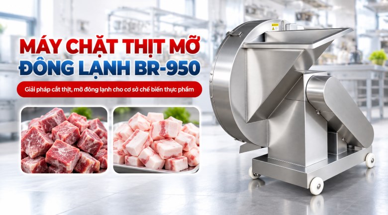 Máy chặt thịt mỡ đông lạnh BR-950